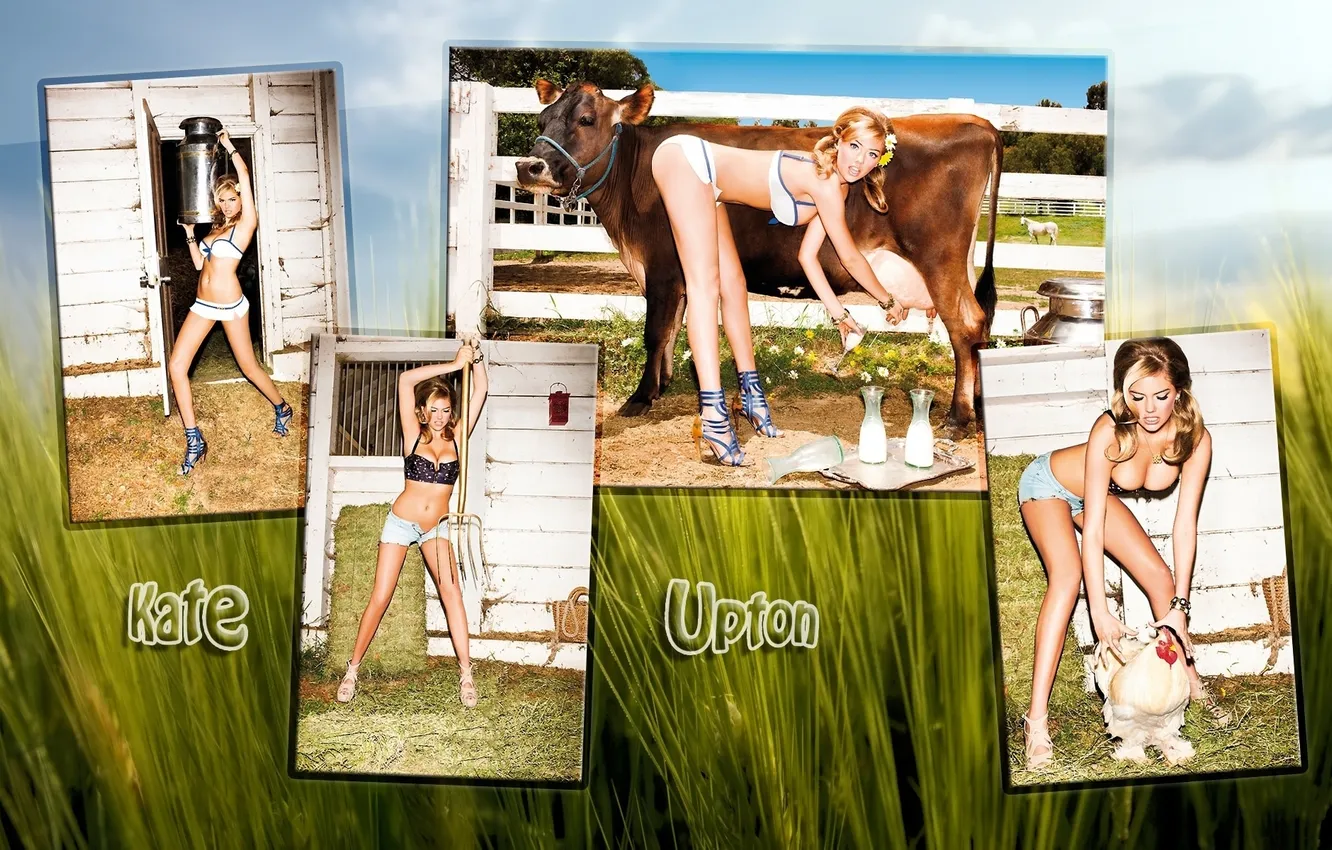 Photo wallpaper chest, grass, girl, sexy, the inscription, model, cow, chicken