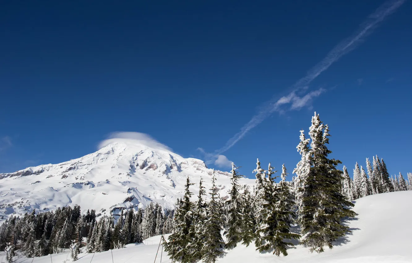 Photo wallpaper winter, forest, the sky, National Park, Mount Rainier