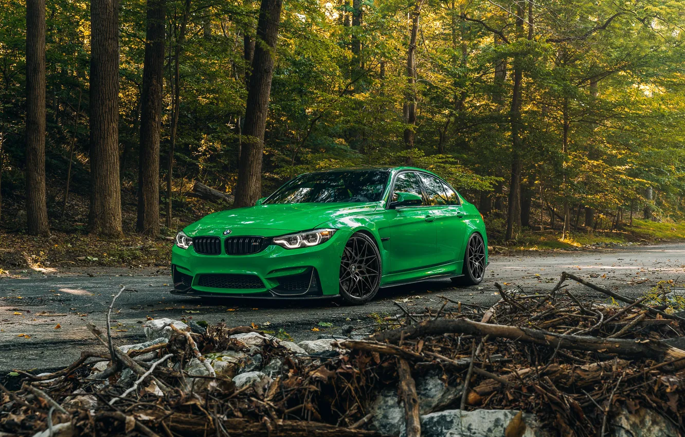 Photo wallpaper BMW, Green, Forest, F80, Sight