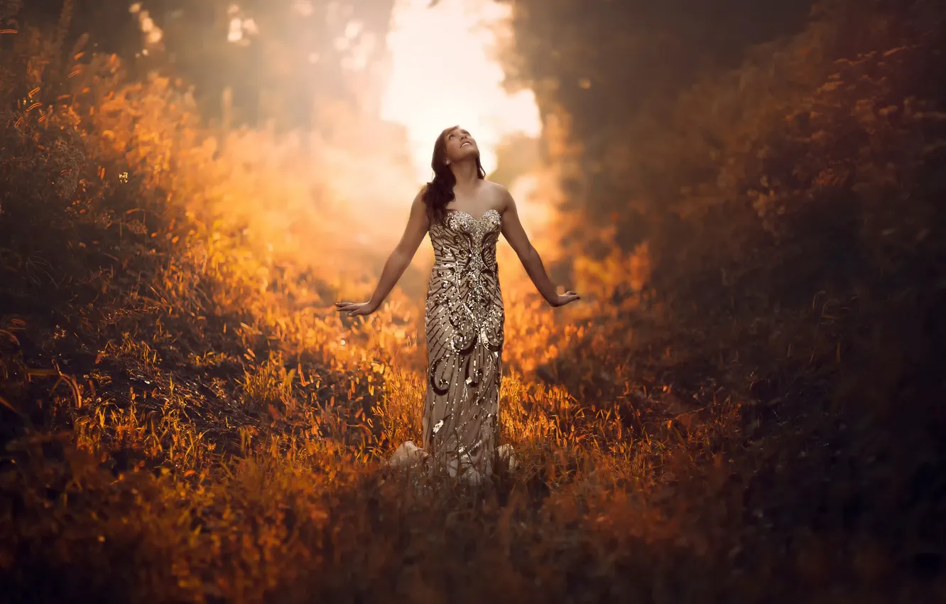 Photo wallpaper forest, grass, girl, the sun, morning, dress