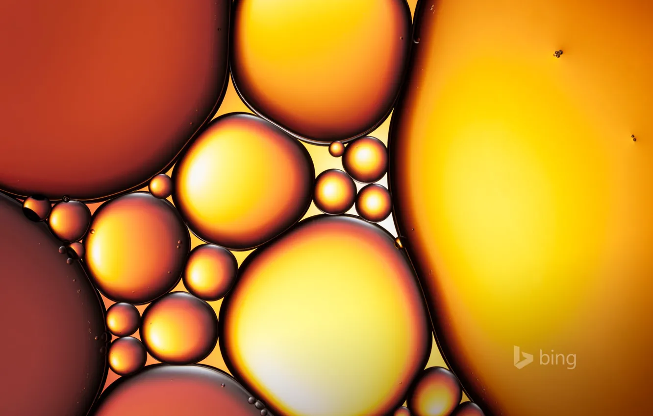 Photo wallpaper water, drops, balls, bubbles, oil, round, oval