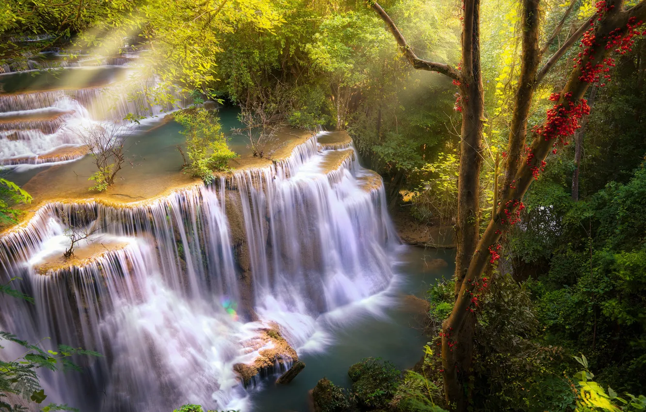 Photo wallpaper forest, trees, river, waterfall, Thailand, Thailand, cascade, Kanchannaburi