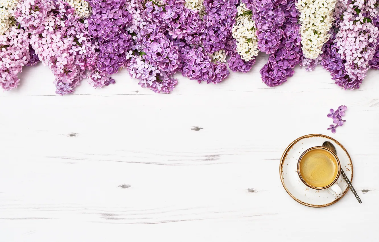 Photo wallpaper flowers, flowers, lilac, romantic, coffee cup, lilac, a Cup of coffee