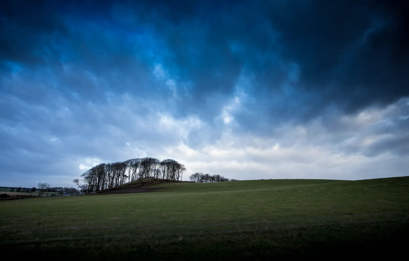 Photo wallpaper field, the sky, trees, blue, clouds, valley, Scotland, space