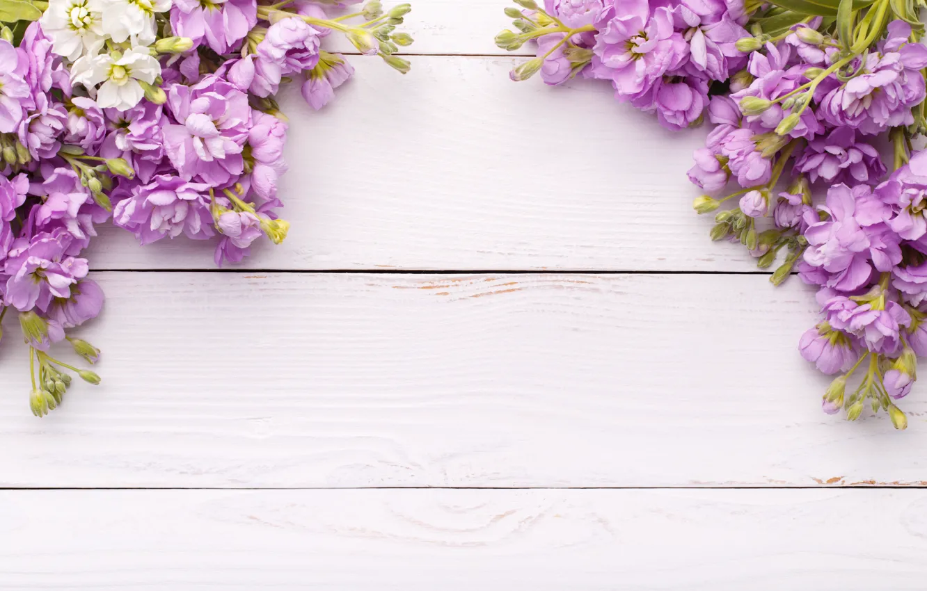 Photo wallpaper flowers, wood, flowers, spring, violet