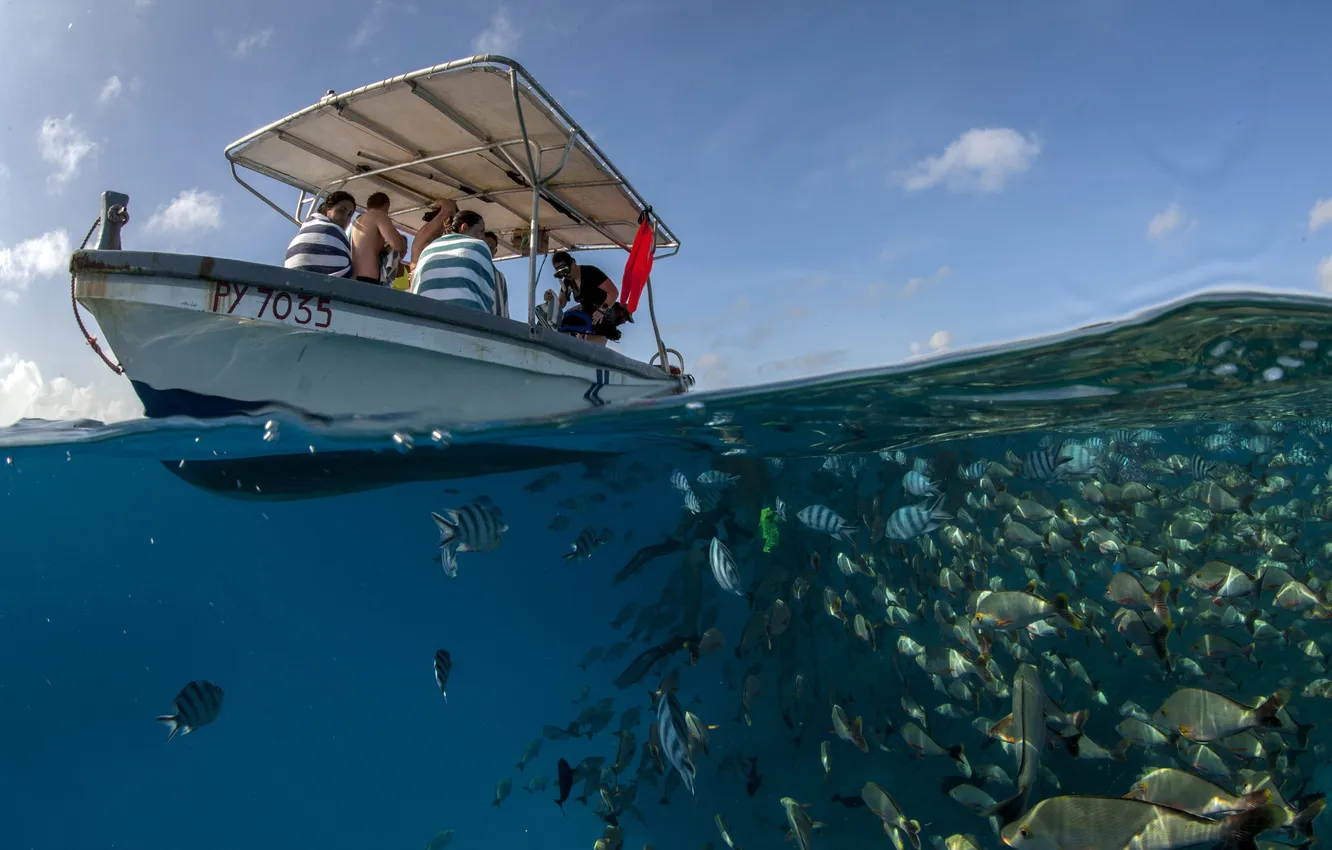 Photo wallpaper sea, boat, fish