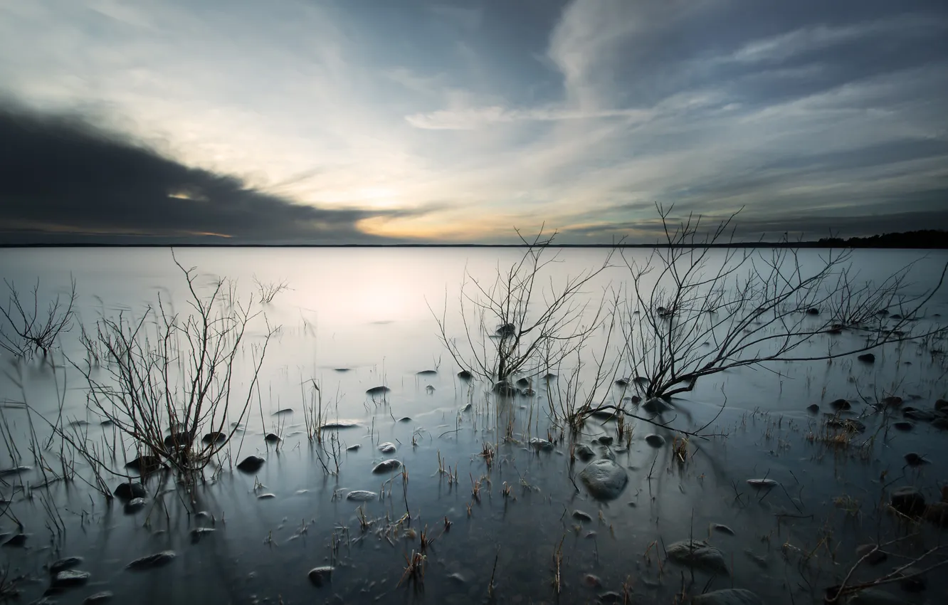 Photo wallpaper the sky, branches, nature, lake
