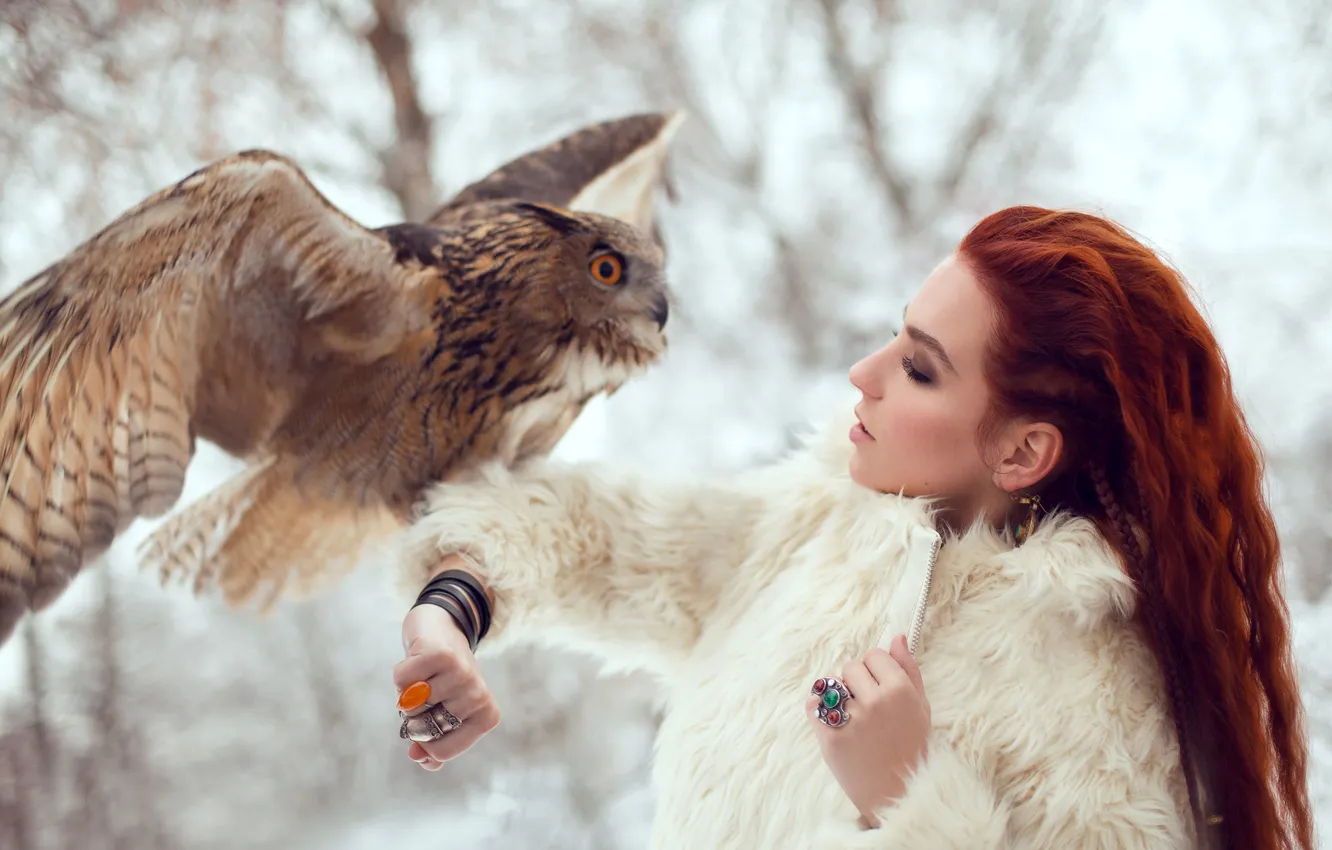 Photo wallpaper winter, snow, owl, red