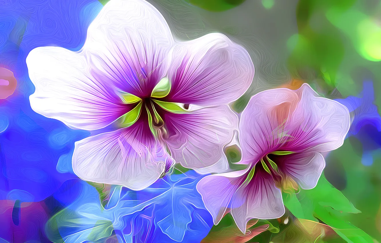 Photo wallpaper macro, flowers, nature, petals
