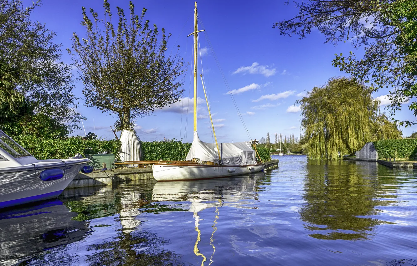 Photo wallpaper summer, water, trees, Park, boat, channel