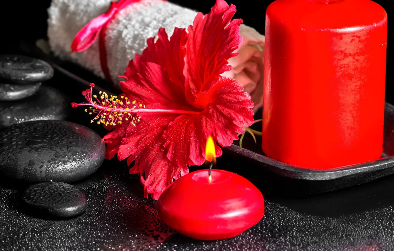 Photo wallpaper flowers, background, Spa, candles, spa, Spa stones