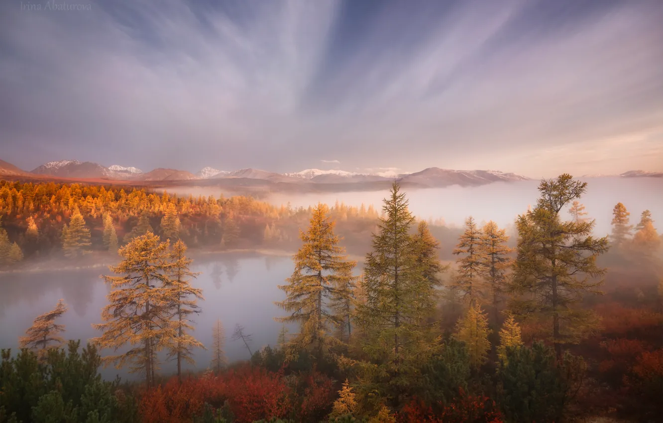 Photo wallpaper autumn, forest, the sky, clouds, trees, mountains, fog, lake