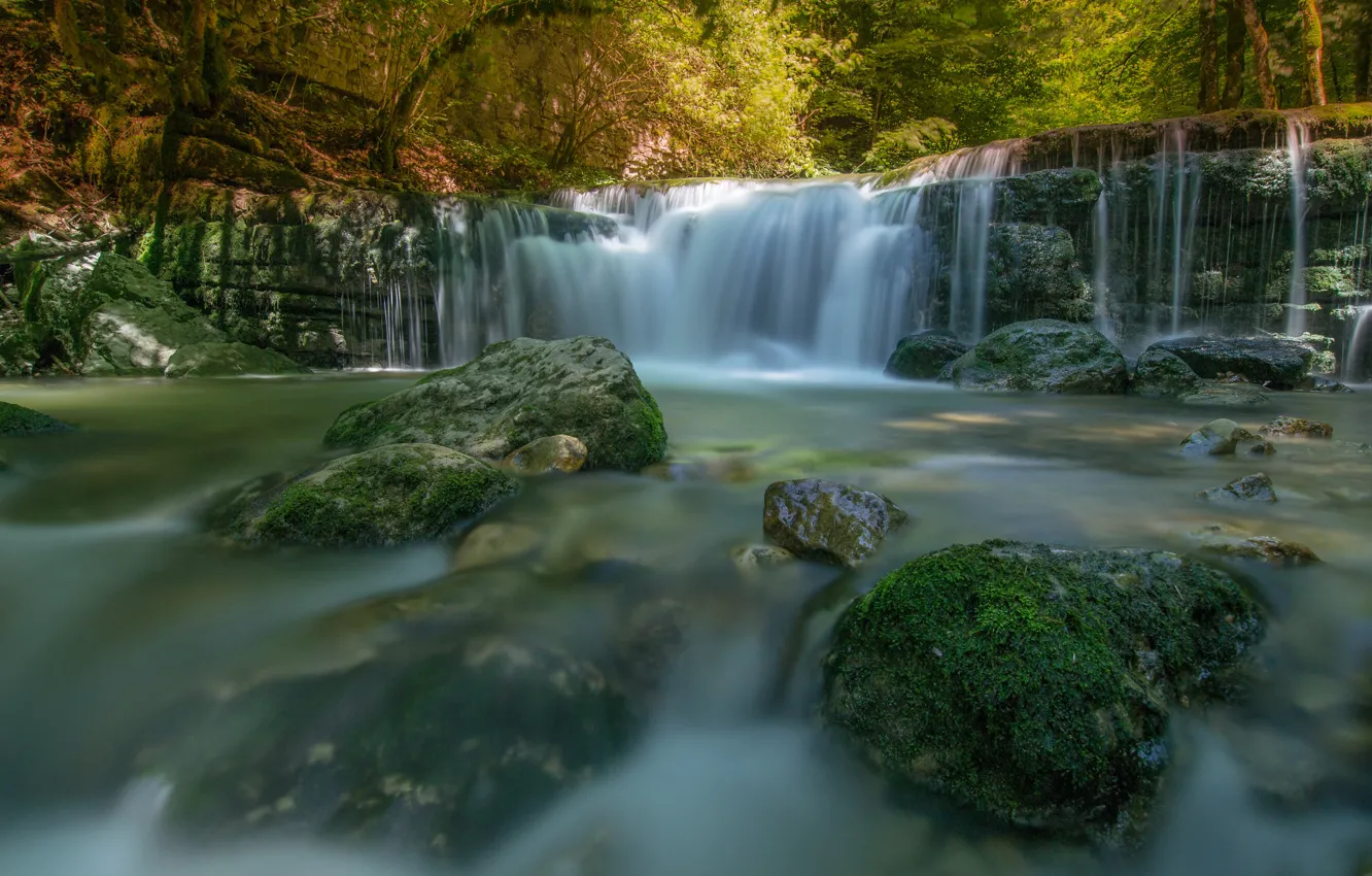 Photo wallpaper forest, river, stones, waterfall, cascade