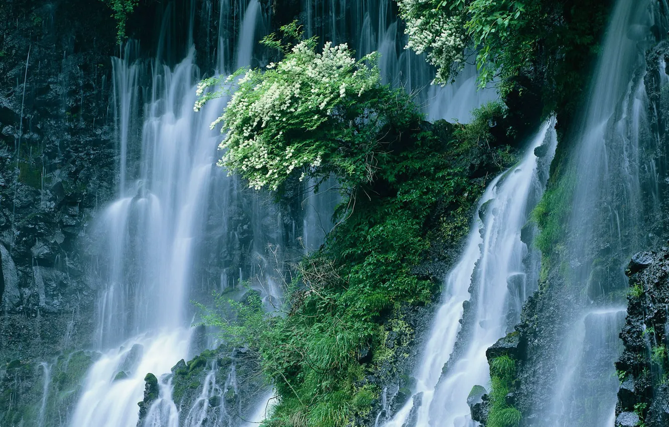 Photo wallpaper Waterfall, Japan, The bushes