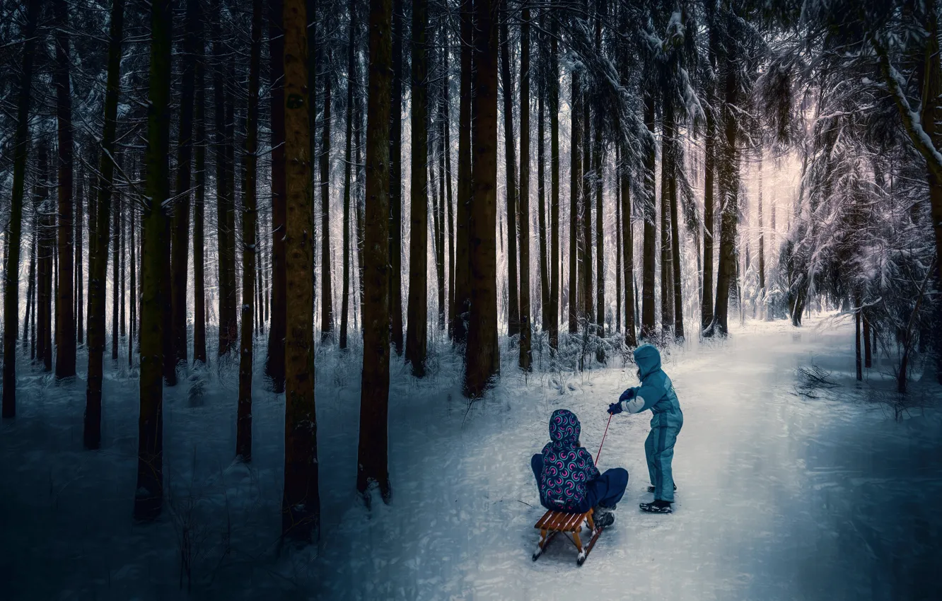 Photo wallpaper children, treatment, sled, winter forest