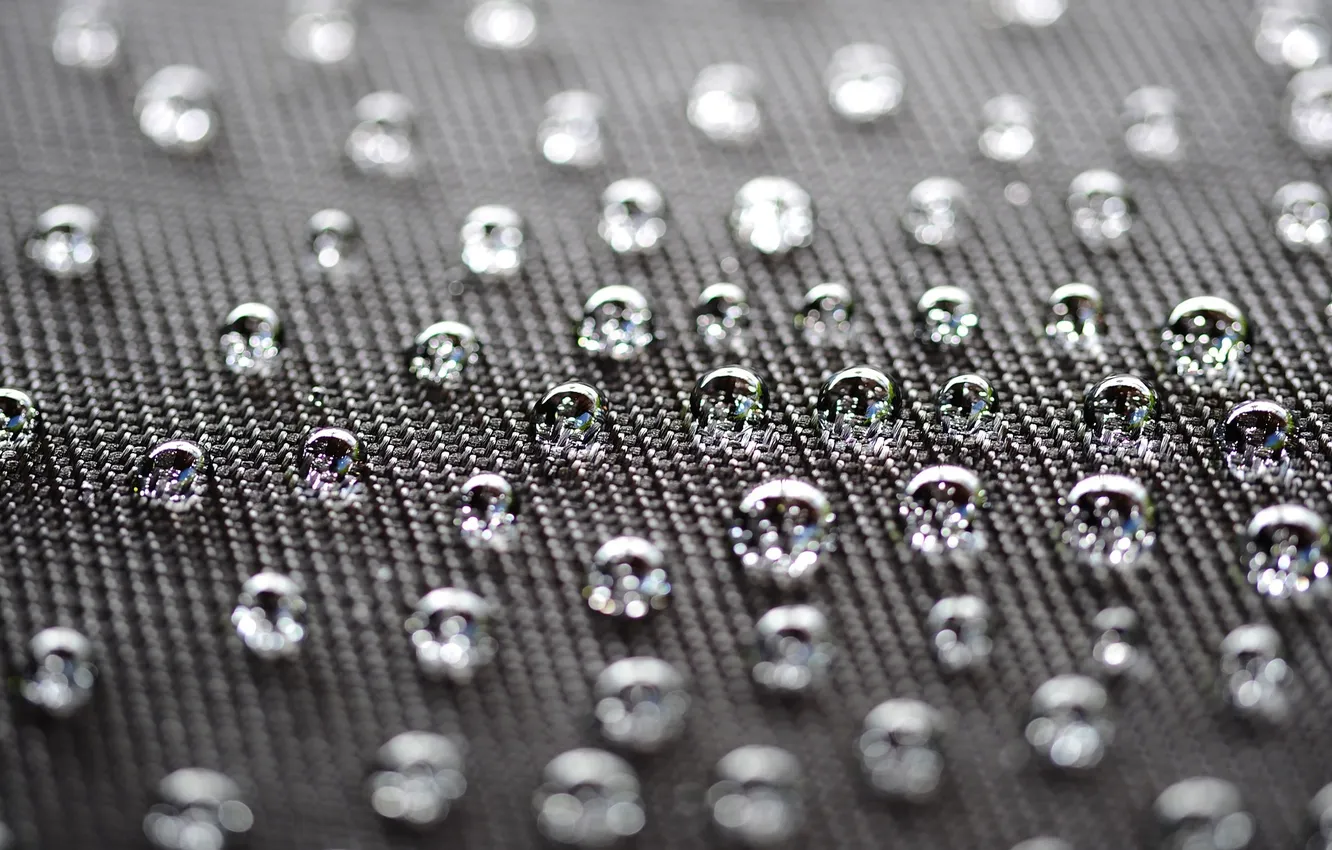 Photo wallpaper leaves, drops, macro, photo, background, Wallpaper, metal