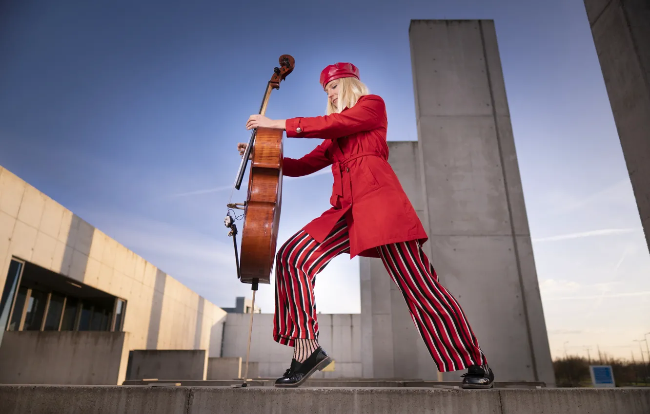 Photo wallpaper girl, music, cello