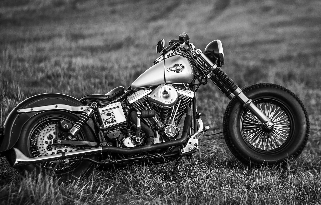 Photo wallpaper motorcycle, Harley Davidson, bike