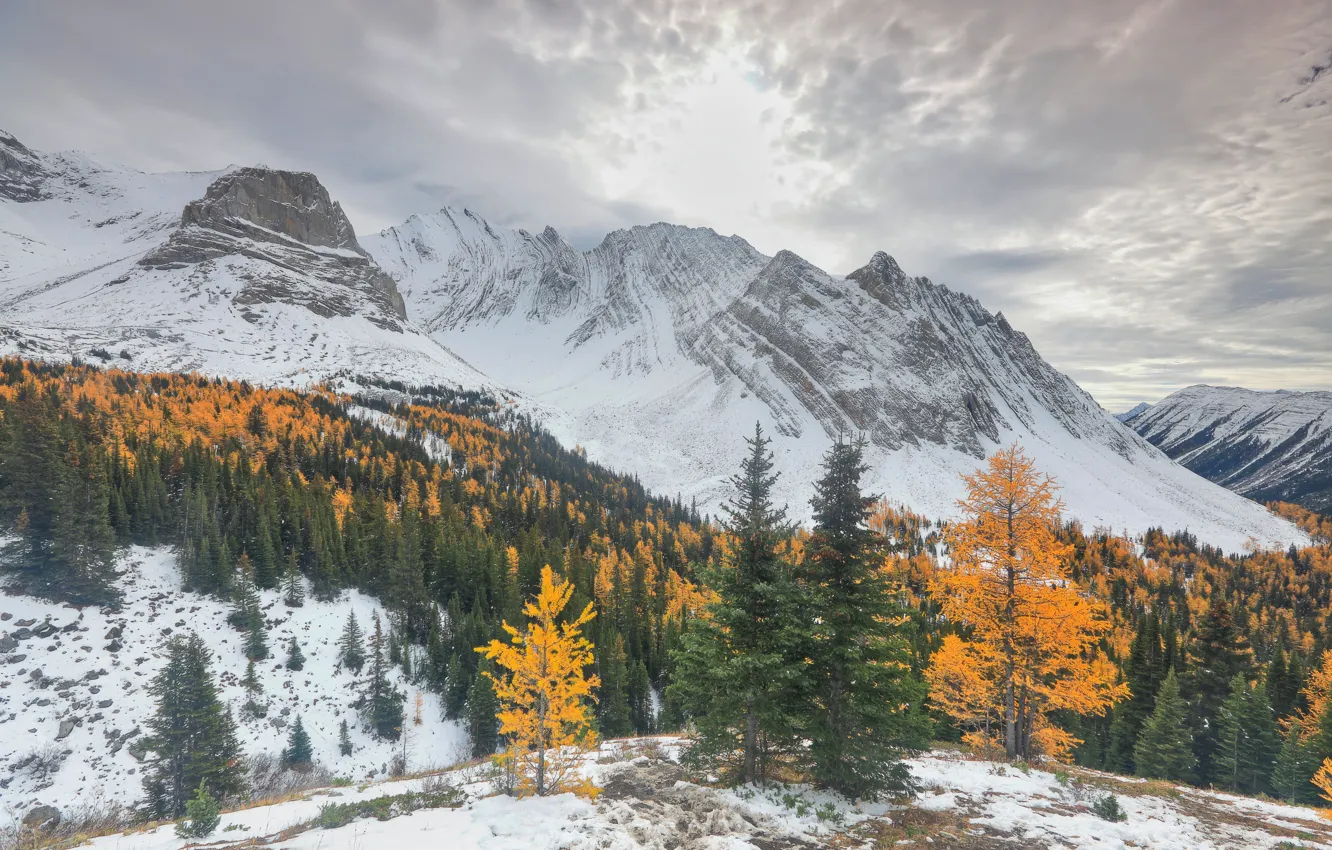Photo wallpaper winter, mountains, snow