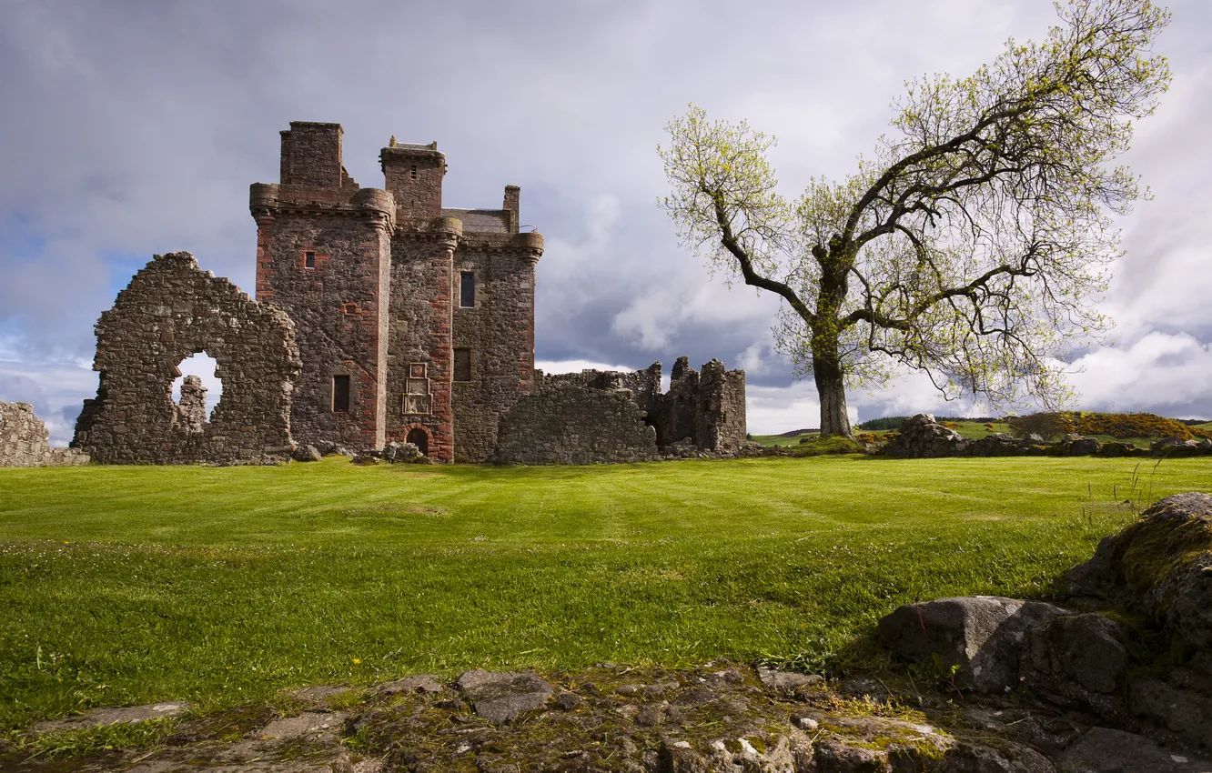 Photo wallpaper trees, landscape, castle, ruins