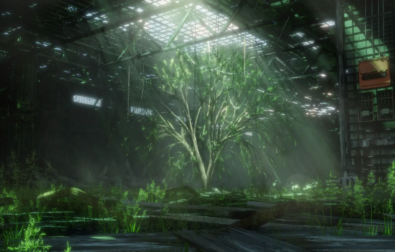 Photo wallpaper grass, trees, zabroski, by Hir