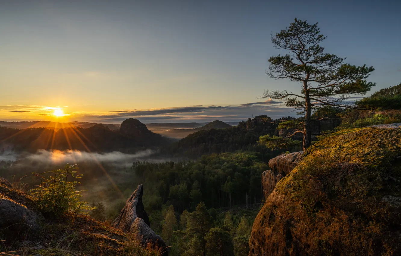 Photo wallpaper forest, the sky, the sun, trees, mountains, rocks, dawn, Germany