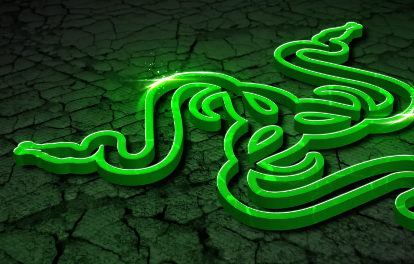 Photo wallpaper green, wallpaper, logo, white, black, Razer, art, hi-tech