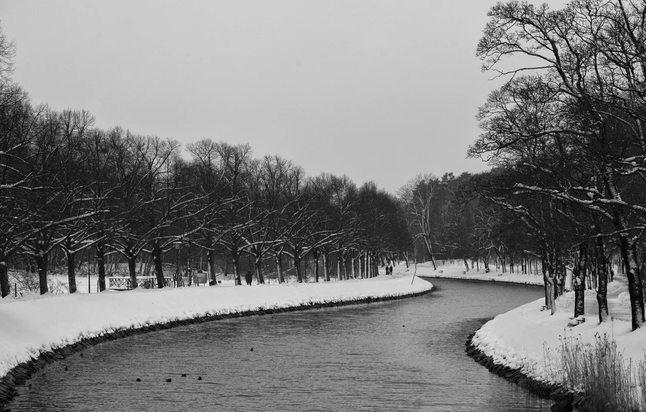 Photo wallpaper river, trees, winter