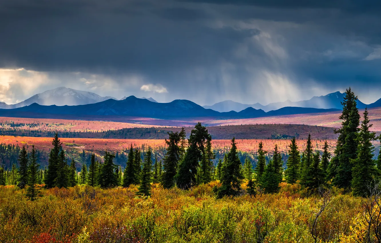 Photo wallpaper landscape, mountains, clouds, panorama, USA, Denali National Park, parks