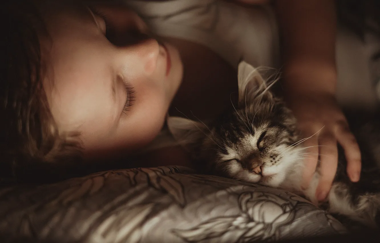 Photo wallpaper children, sleep, girl, bed, cub, kitty, Alexander Kalinin
