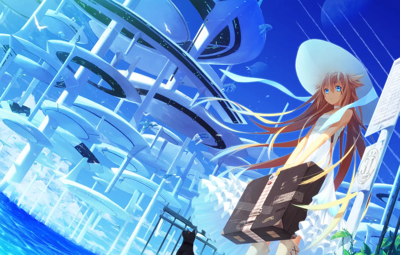 Photo wallpaper sea, cat, look, girl, the city, future, surprise, suitcase