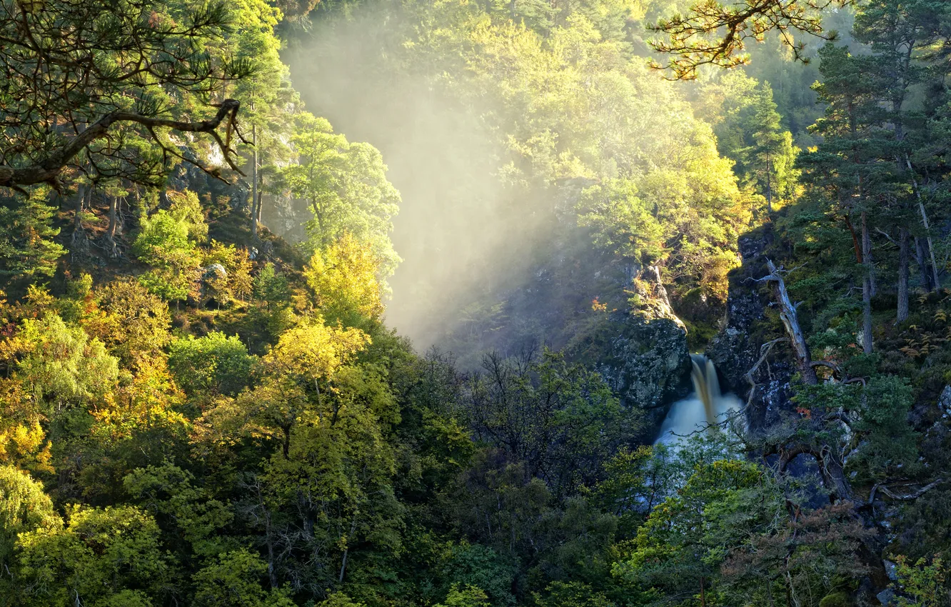 Photo wallpaper autumn, forest, light, nature, waterfall