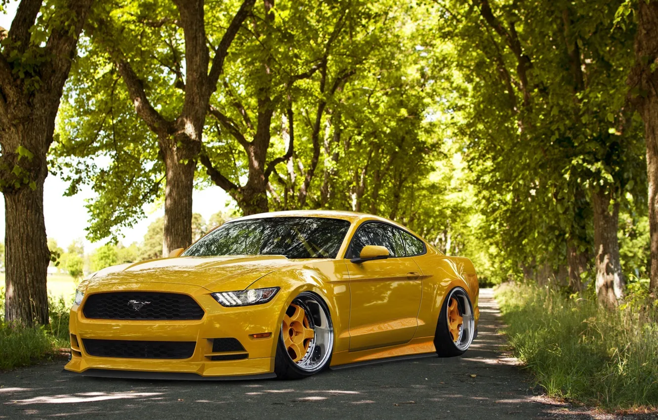Photo wallpaper Mustang, Ford, Front, Yellow, Tuning, Stance, Wheels, 2015