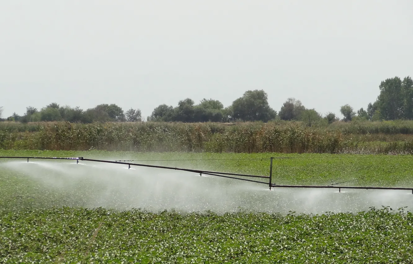 Photo wallpaper field, irrigation