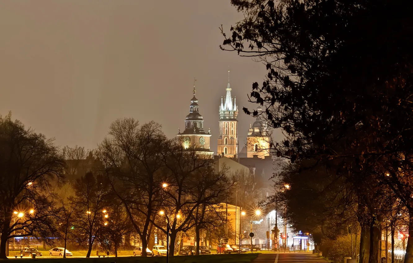 Photo wallpaper trees, night, lights, castle, Poland, lights, Krakow, Wawel