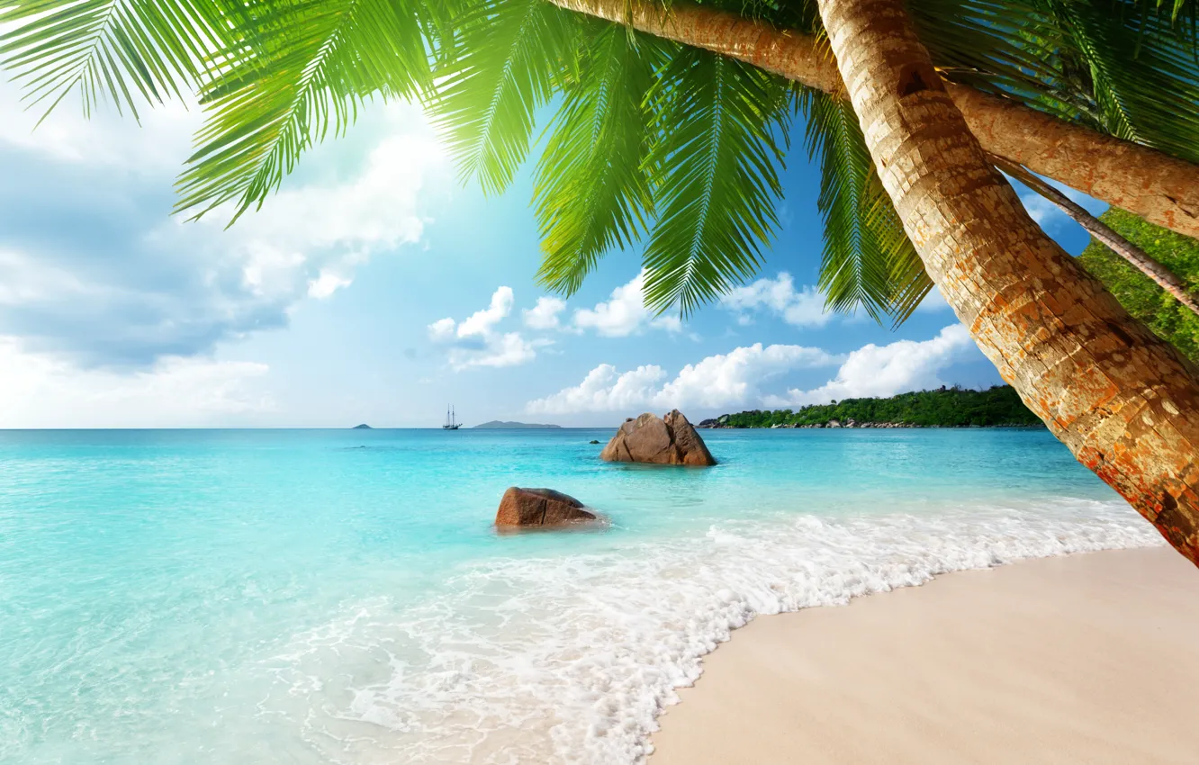 Photo wallpaper sand, sea, beach, the sun, tropics, palm trees, the ocean, shore