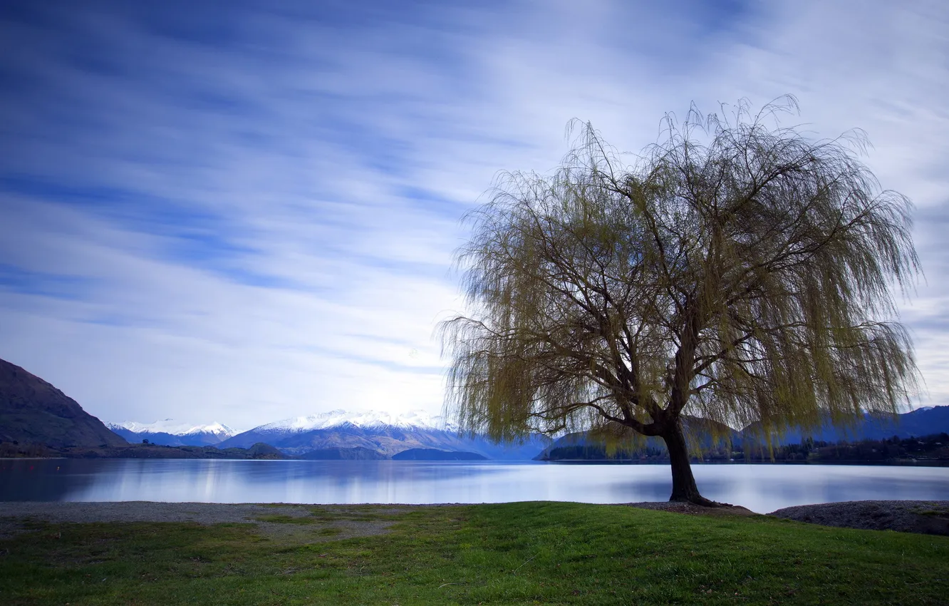 Photo wallpaper trees, landscape, lake