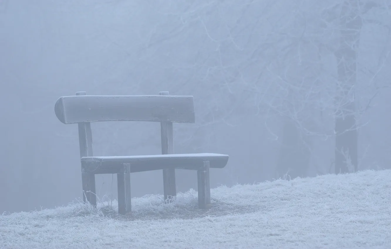 Photo wallpaper winter, snow, bench, nature, mood, shop, winter Wallpaper