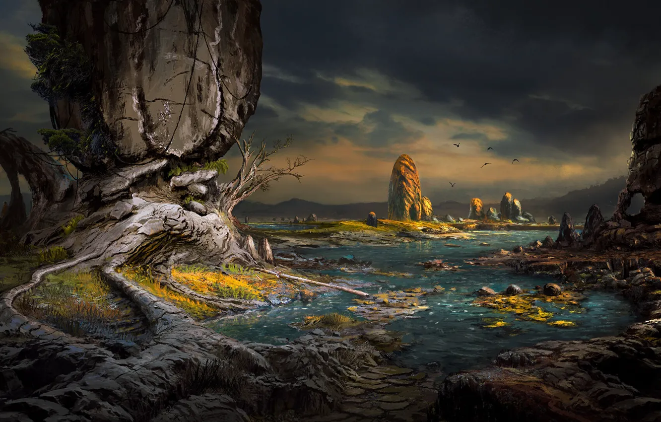 Photo wallpaper landscape, stones, rocks, coast, art, rocky, Petrified, Dominique van Velsen
