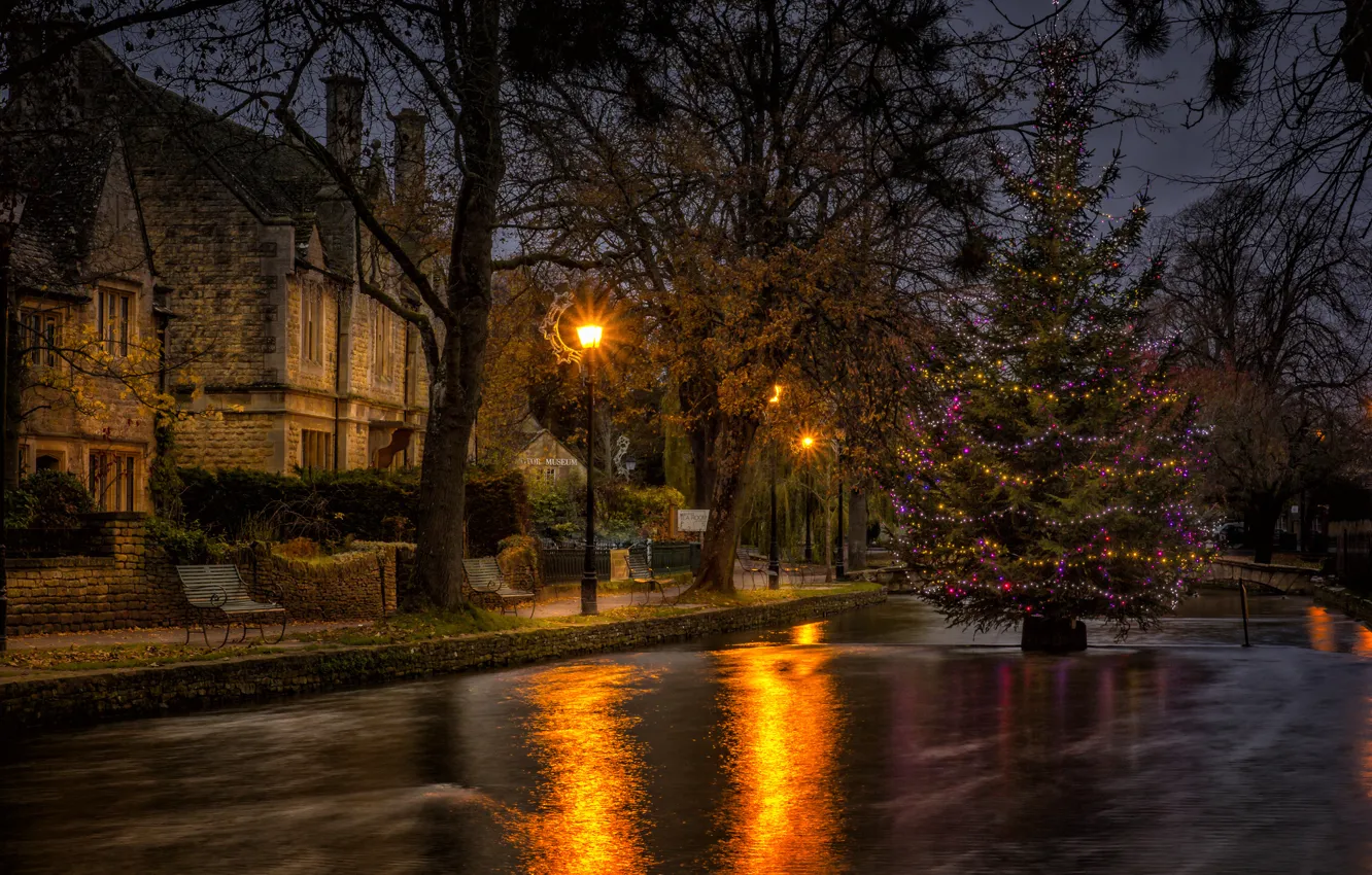 Photo wallpaper trees, the city, river, tree, home, Christmas, lights, New year