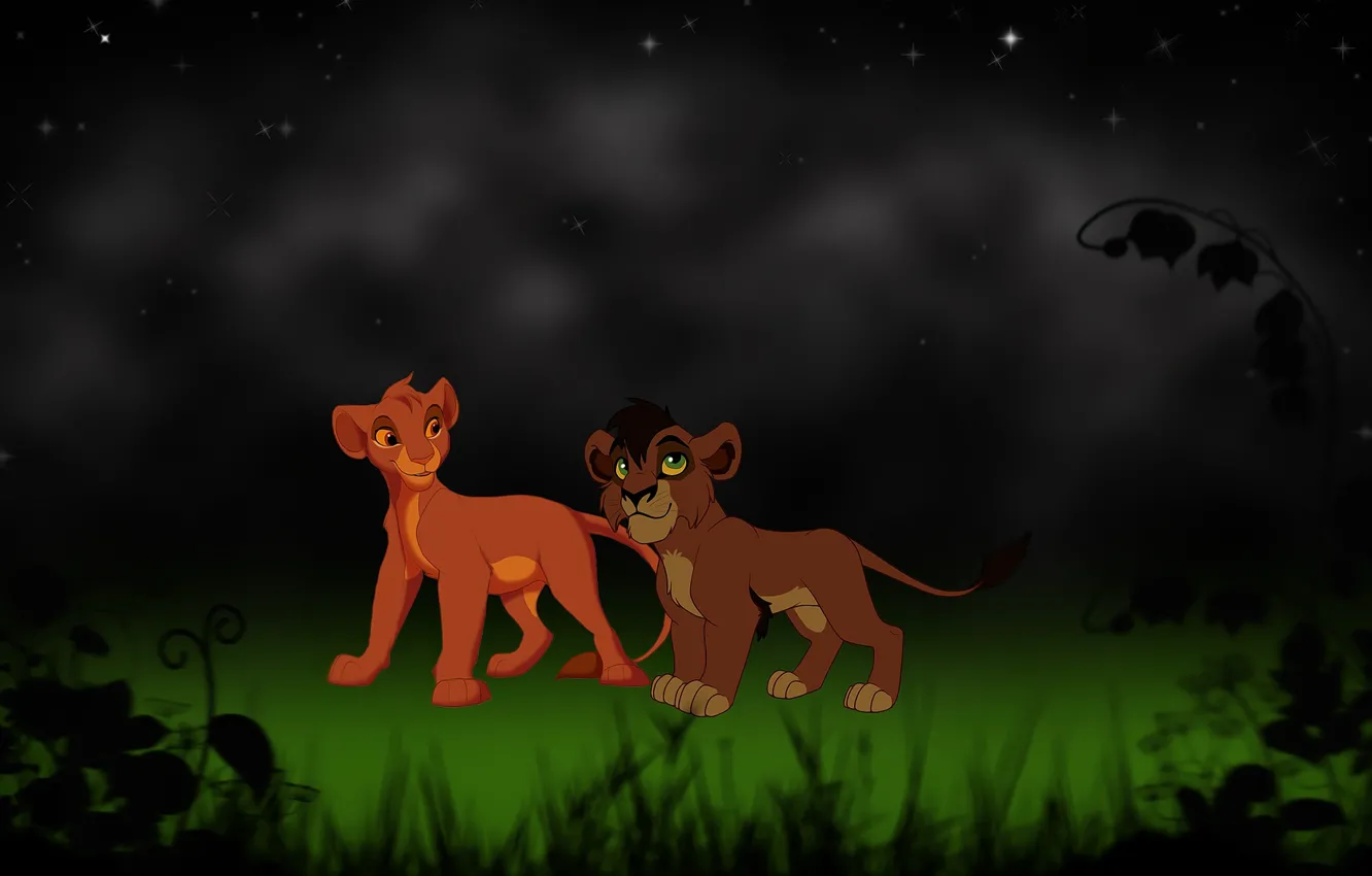 Photo wallpaper background, art, lion