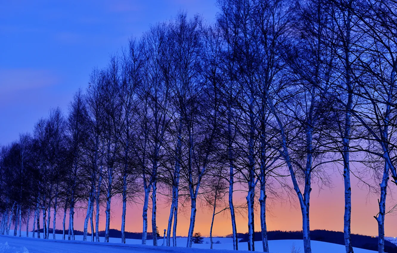 Photo wallpaper winter, road, the sky, snow, trees, sunset