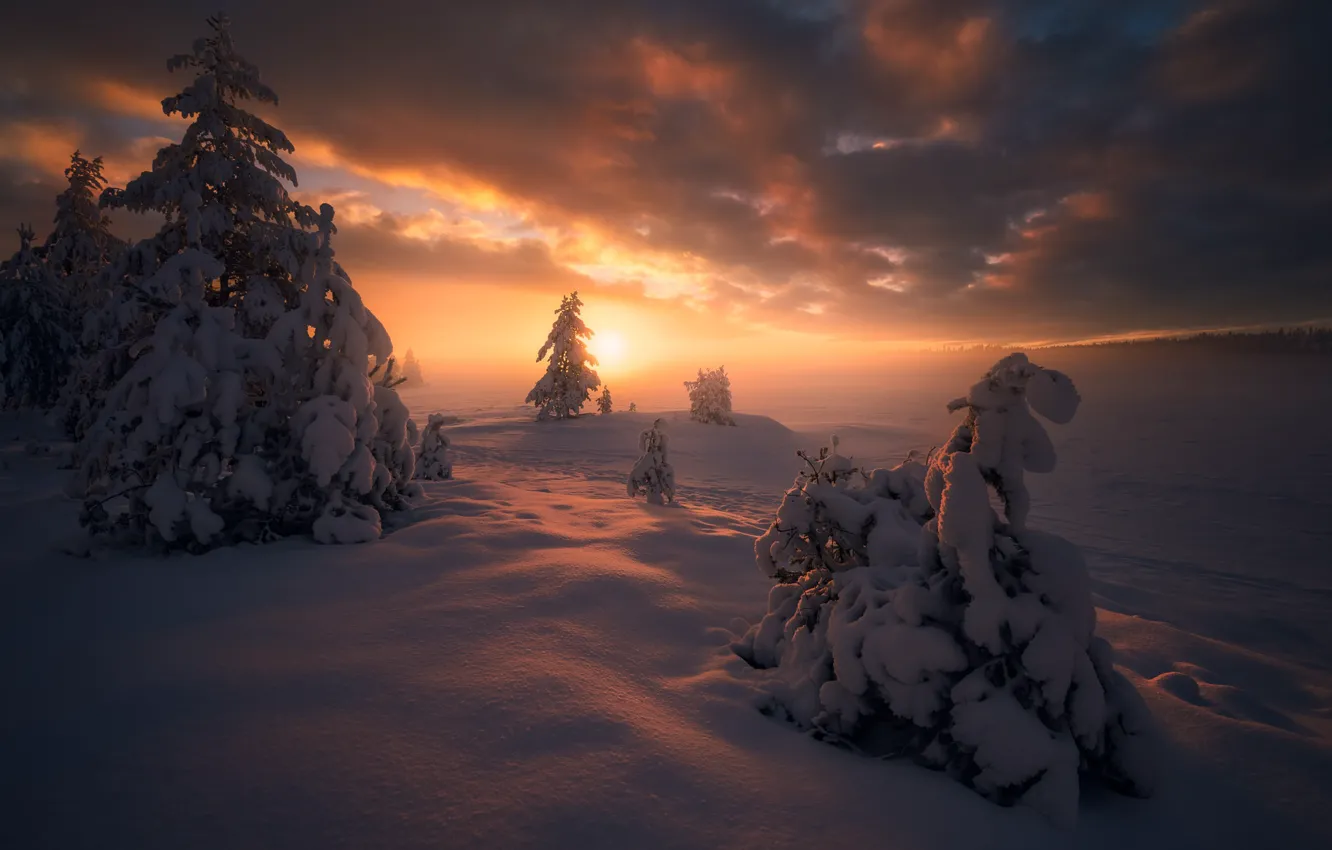 Photo wallpaper winter, snow, trees, sunset, ate, Norway, the snow, Norway