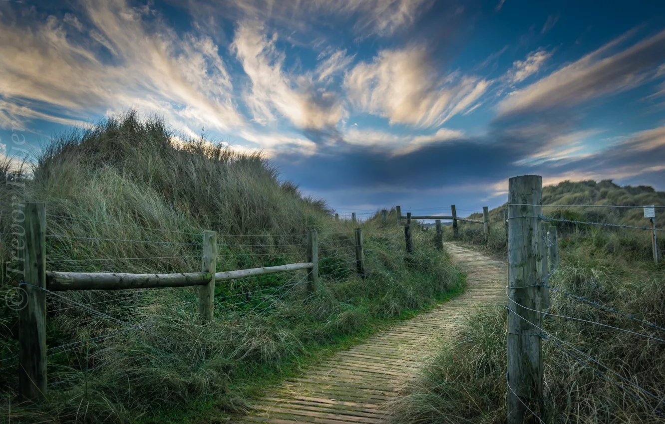 Photo wallpaper road, the sky, landscape, nature