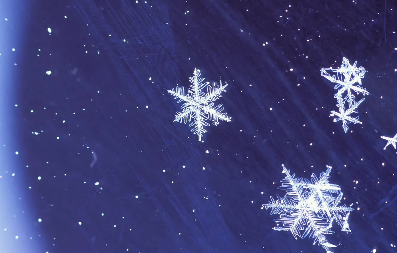 Photo wallpaper winter, blue, Snowflakes