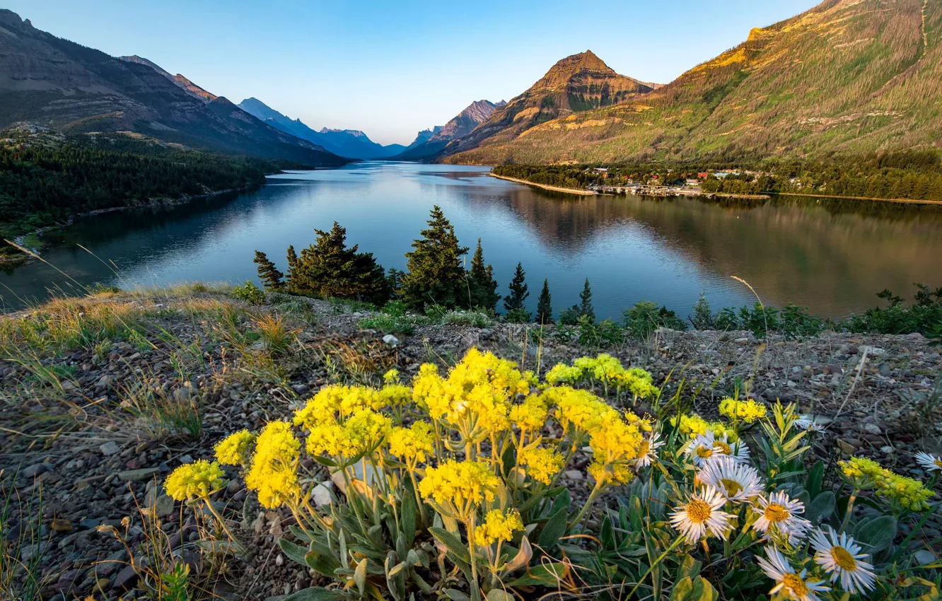 Photo wallpaper flowers, mountains, pebbles, lake, blue, shore, the slopes, yellow