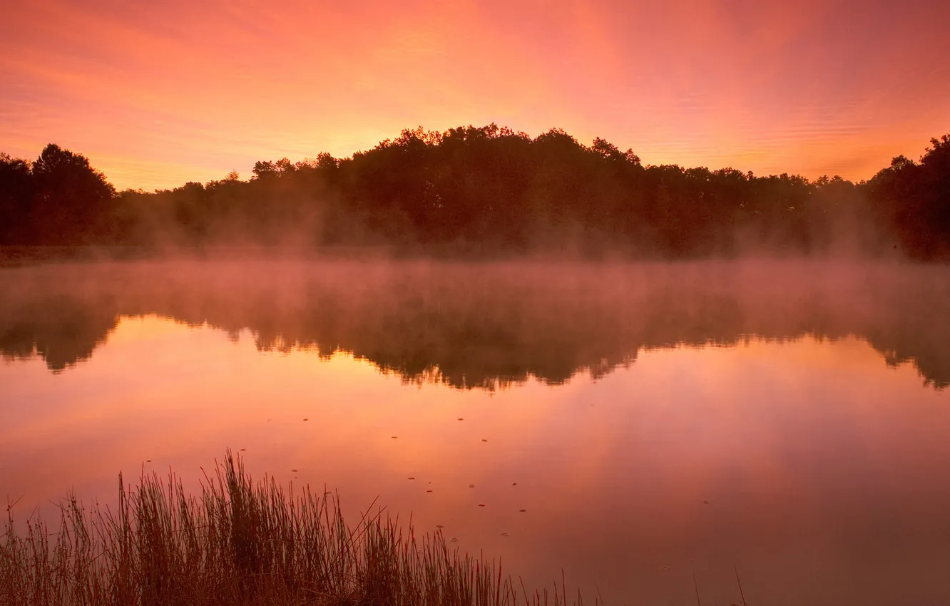 Photo wallpaper the sky, water, trees, landscape, sunset, nature, lake, pair