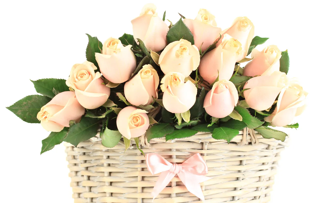 Photo wallpaper basket, roses, buds, bow