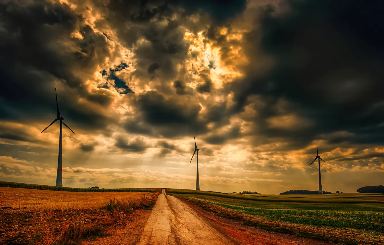 Photo wallpaper road, field, windmills