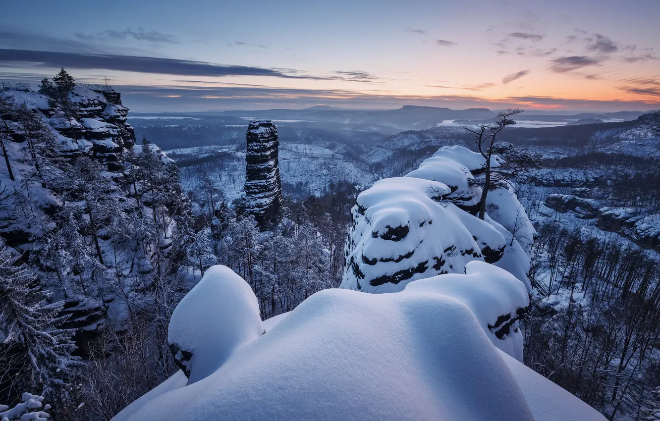 Photo wallpaper winter, forest, snow, mountains, Germany, the snow, Germany, Saxon Switzerland